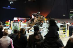 Pferdesportmesse HIPPOLOGICA erwartet seine Gäste mit vielseitigem und anspruchsvollem Turnier – Weltmeister und Spitzensportler dabei - Foito: Promo